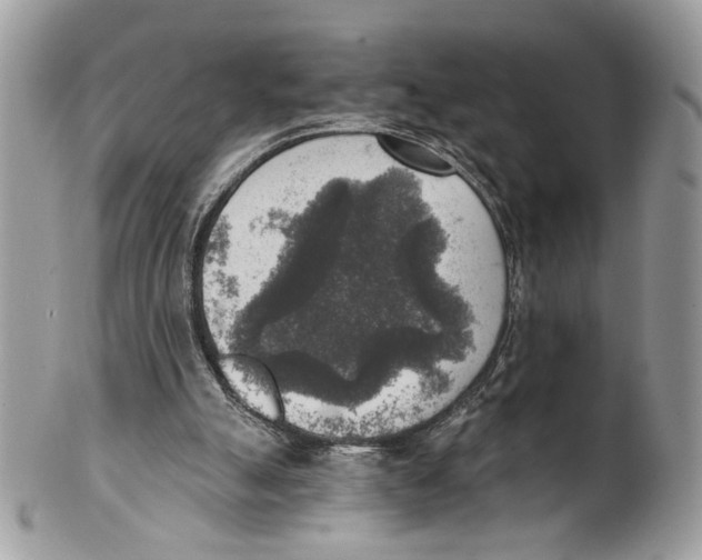 X0000101150055200807251057