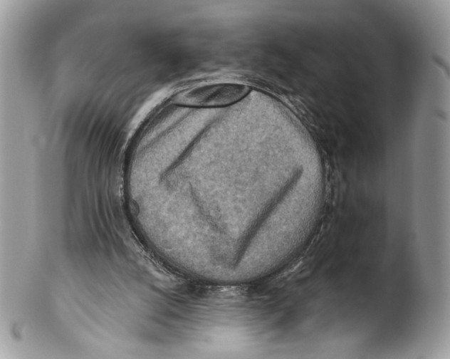X0000101150056200807251057