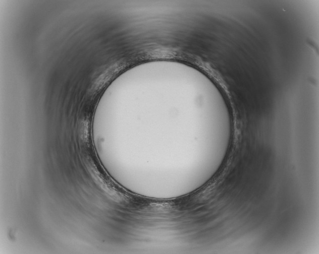 X0000101150057200807251057