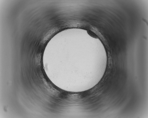 X0000101150058200807251057