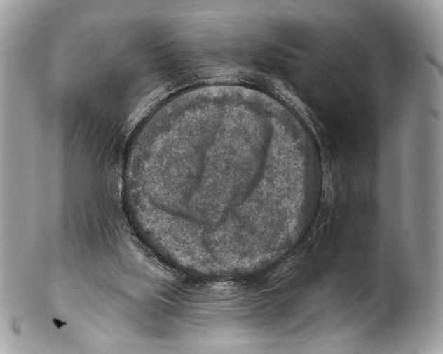 X0000101150059200807251057