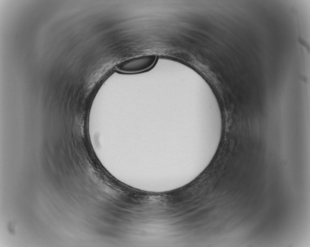 X0000101150060200807251057