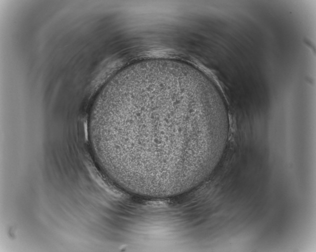 X0000101150061200807251057