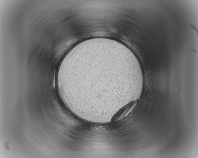 X0000101150062200807251057