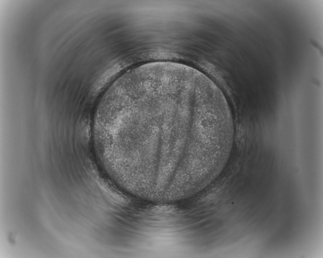 X0000101150063200807251057