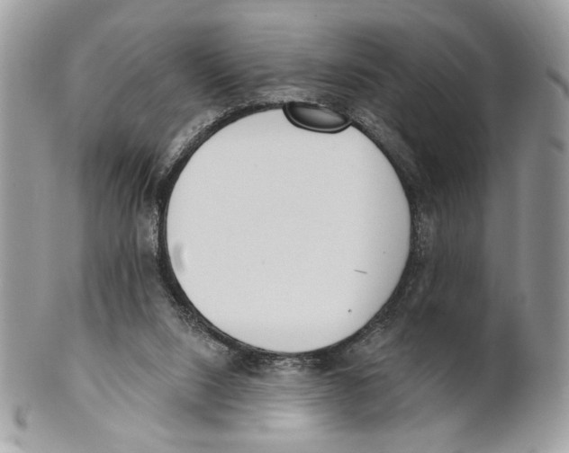 X0000101150064200807251057