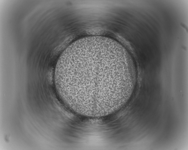 X0000101150065200807251057