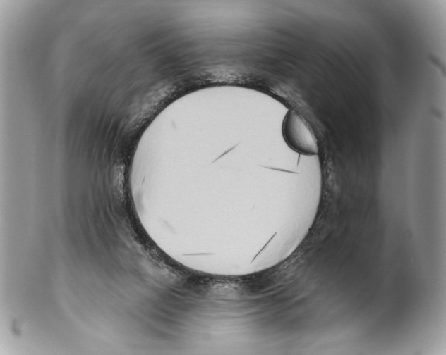 X0000101150066200807251057