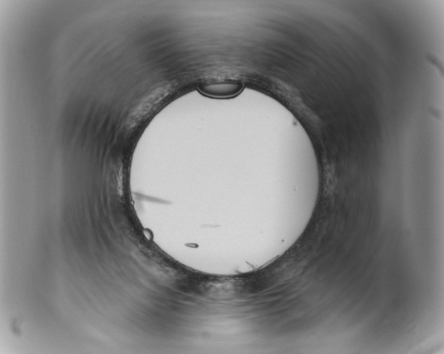 X0000101150068200807251057