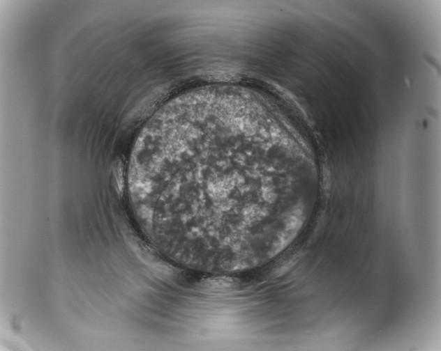 X0000101150069200807251057