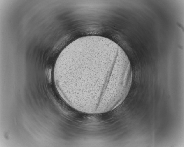 X0000101150070200807251057