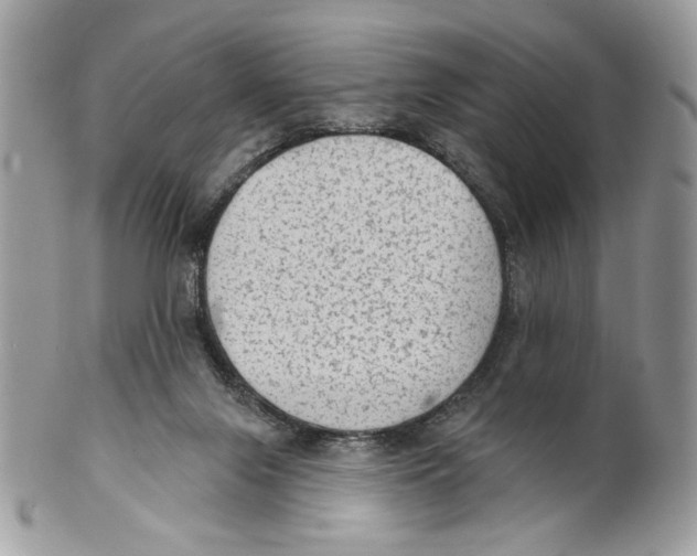 X0000101150071200807251057