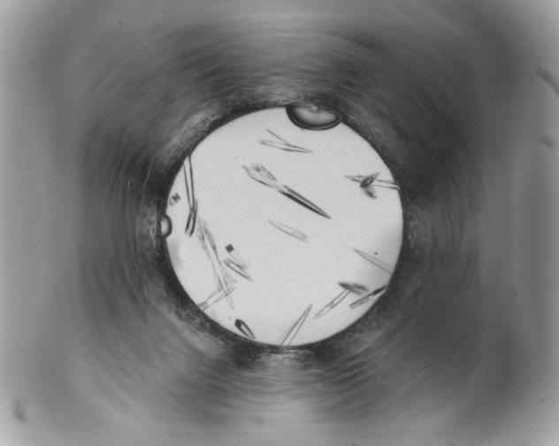 X0000101150072200807251057