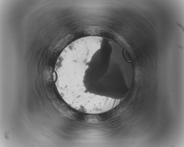 X0000101150073200807251057