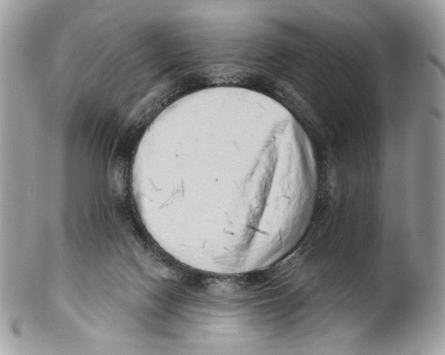 X0000101150074200807251057
