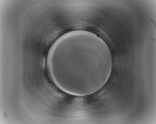X0000101150076200807251057
