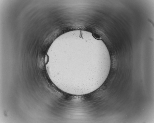 X0000101150077200807251057