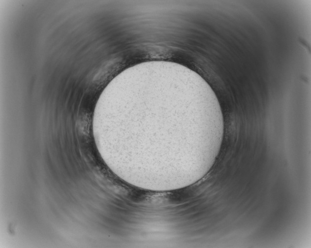 X0000101150078200807251057