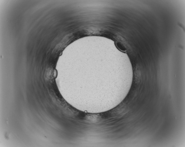 X0000101150079200807251057