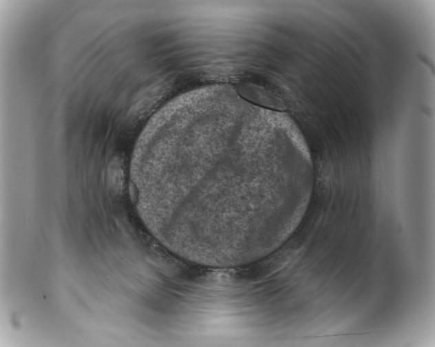 X0000101150080200807251057