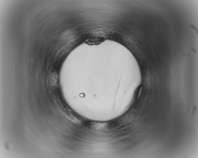 X0000101150081200807251057