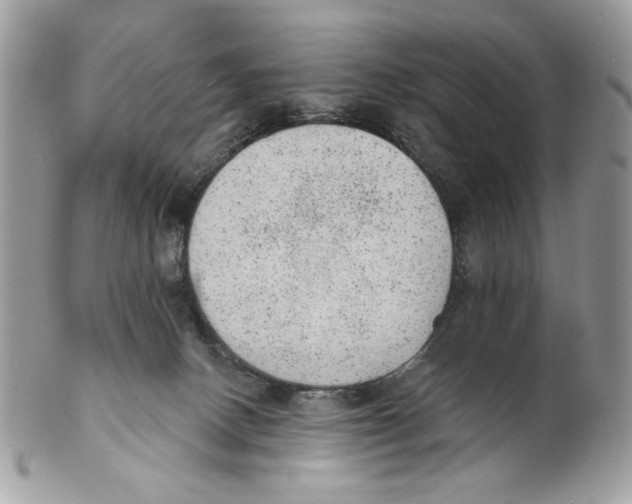 X0000101150082200807251057