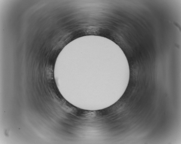 X0000101150083200807251057