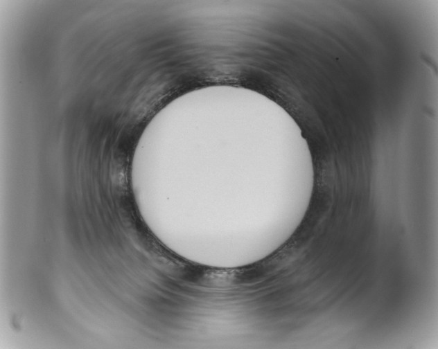 X0000101150084200807251057