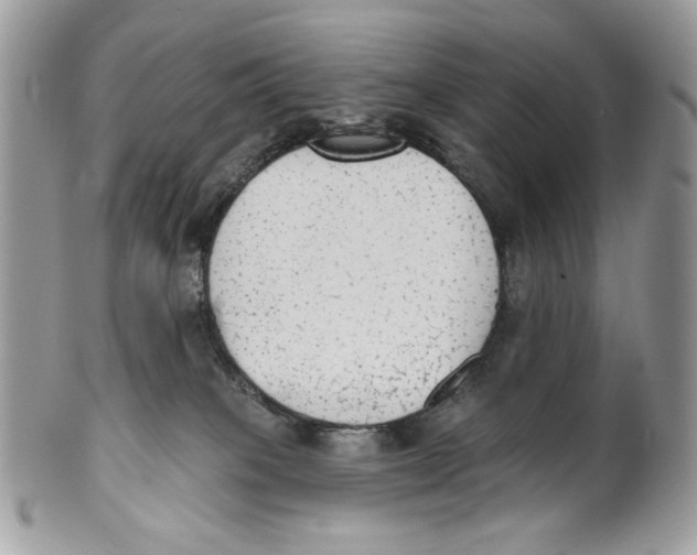 X0000101150085200807251058