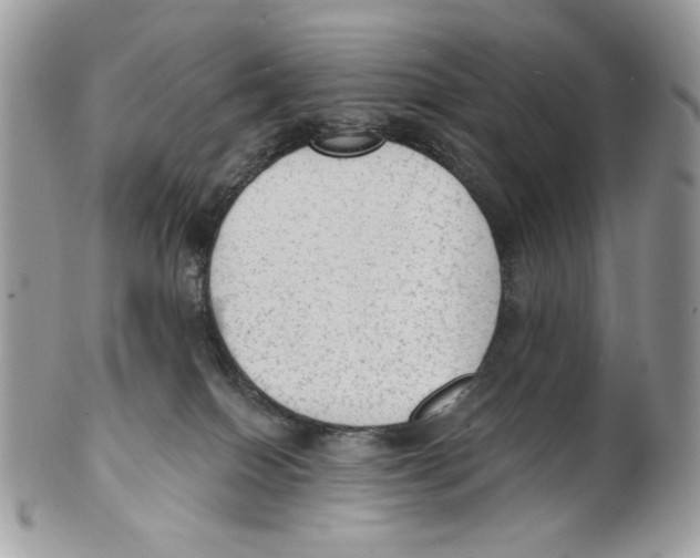X0000101150086200807251058