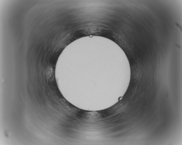 X0000101150087200807251058