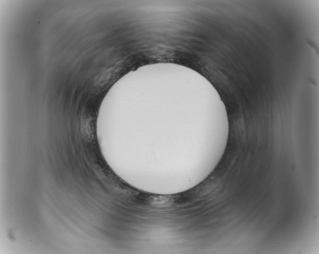 X0000101150088200807251058