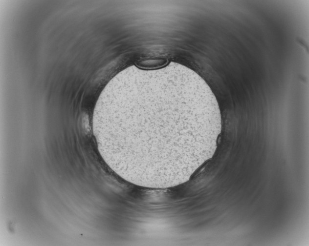 X0000101150089200807251058