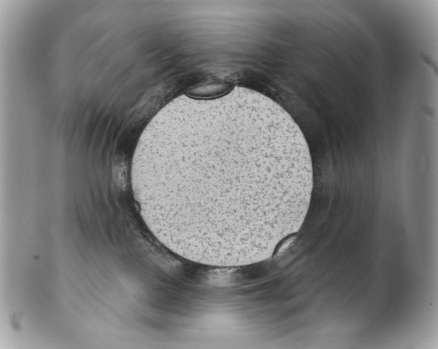 X0000101150090200807251058