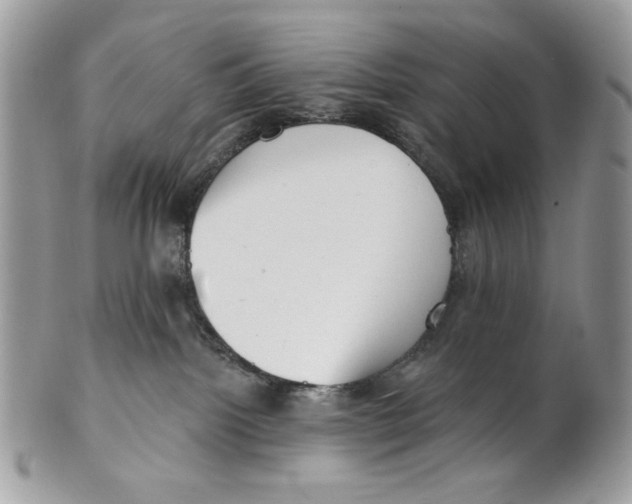 X0000101150092200807251058
