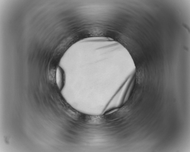 X0000101150093200807251058