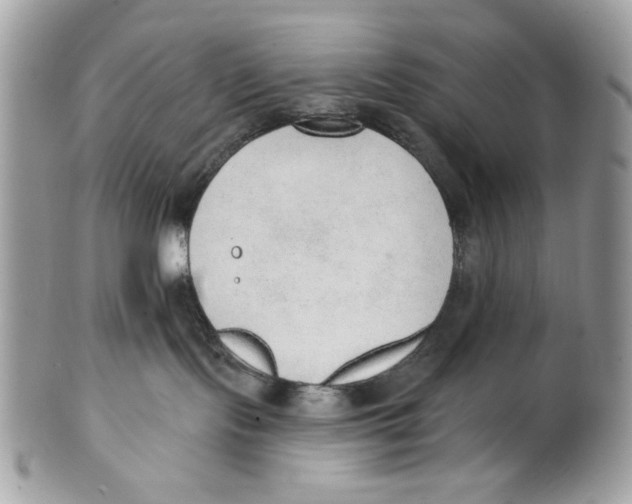 X0000101150095200807251058