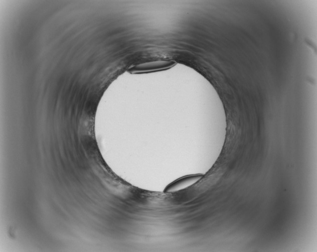 X0000101150096200807251058