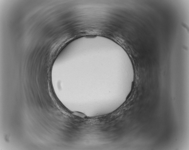 X0000101150097200807251057