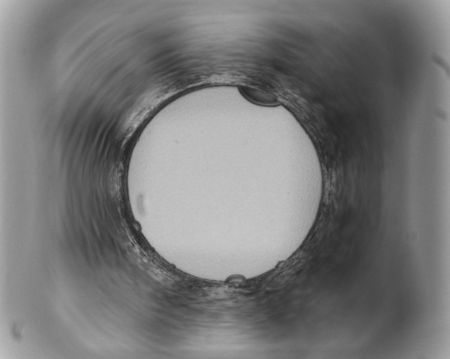 X0000101150098200807251057