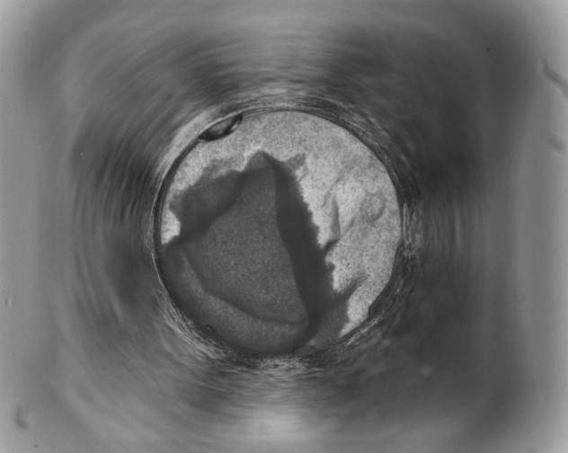X0000101150099200807251057