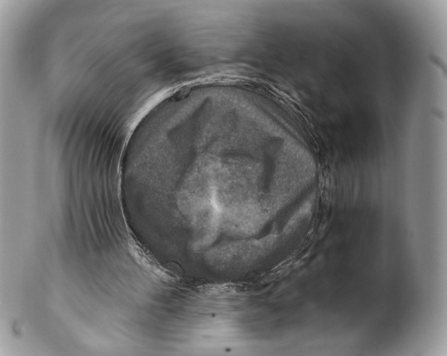 X0000101150100200807251057
