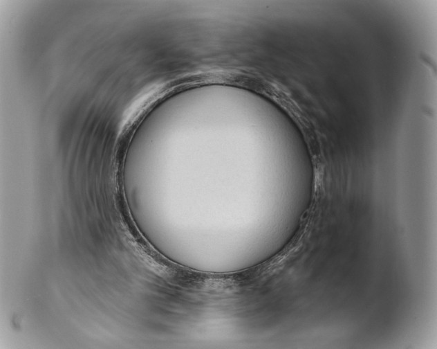 X0000101150101200807251057