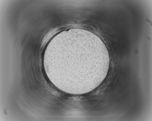 X0000101150103200807251057