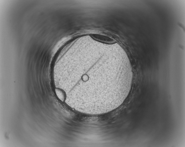 X0000101150104200807251057