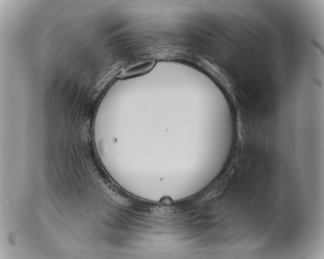 X0000101150105200807251057