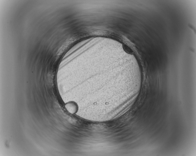 X0000101150106200807251057