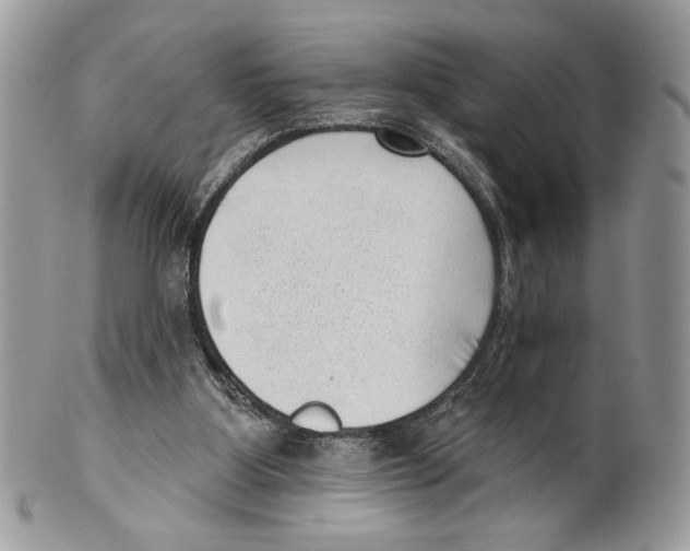 X0000101150107200807251057