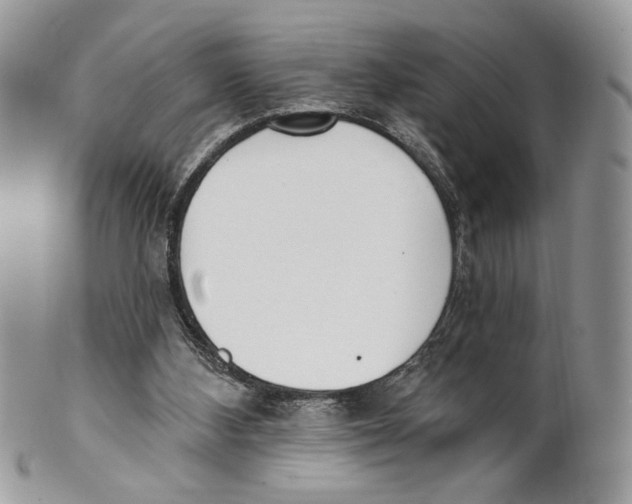X0000101150108200807251057