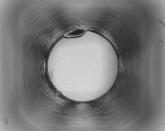 X0000101150109200807251057